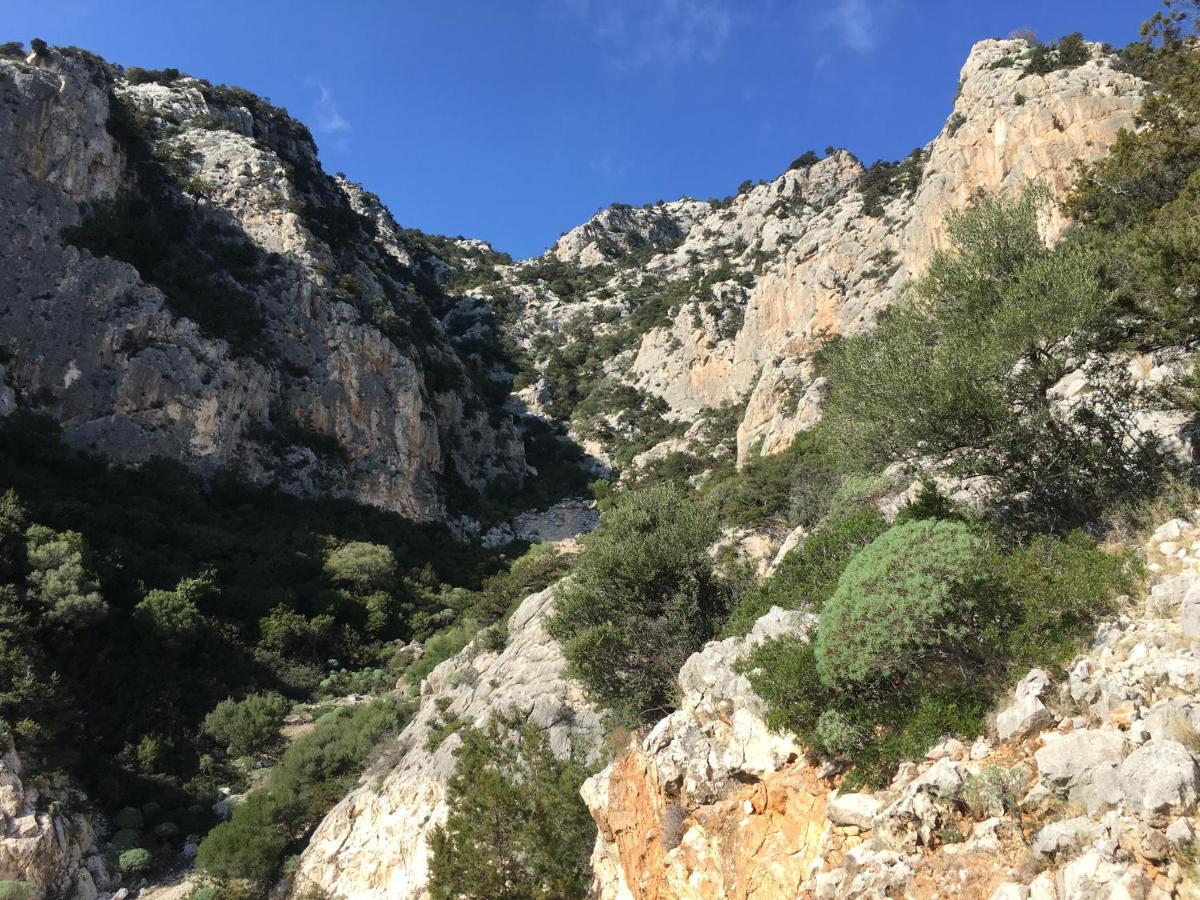 Aparthotel Cav Mameli Dorgali Exteriér fotografie